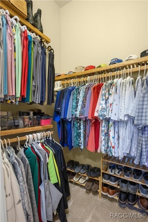 spacious closet with carpet flooring