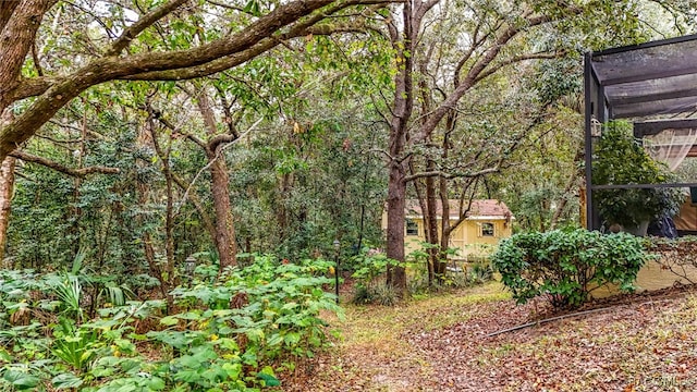 view of yard featuring a lanai