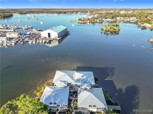 drone / aerial view with a water view