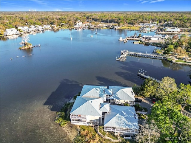 aerial view with a water view