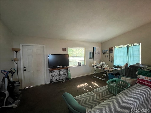 carpeted living room with vaulted ceiling