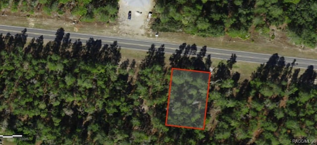 5658 W Oak Park Blvd, Homosassa, FL 34446 - photo 1
