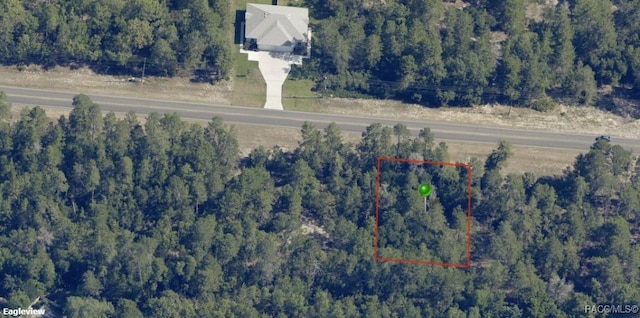 5658 W Oak Park Blvd, Homosassa, FL 34446 - photo 2
