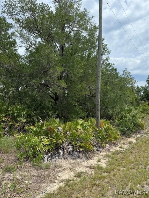 8150 N Downs Rd, Crystal River, FL 34428