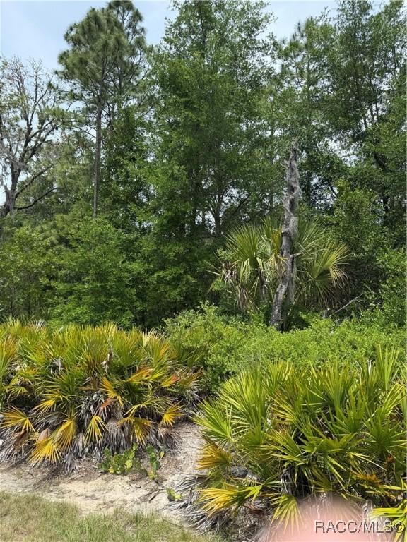 8150 N Downs Rd, Crystal River, FL 34428