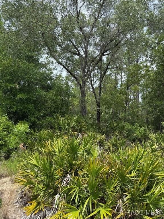 8150 N Downs Rd, Crystal River, FL 34428