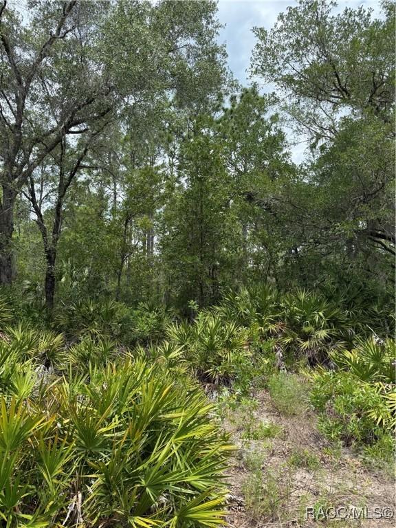 8150 N Downs Rd, Crystal River, FL 34428