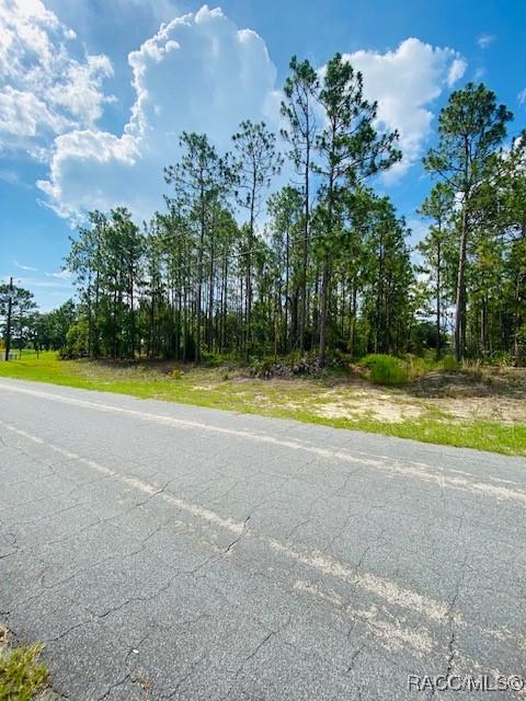 6487 W Conestoga St, Beverly Hills, FL 34465 - photo 4