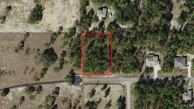 6487 W Conestoga St, Beverly Hills, FL 34465