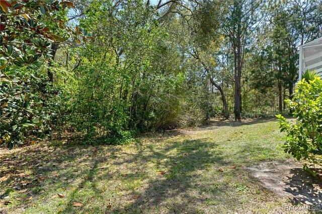 155 Pine St, Homosassa, FL 34446 - photo 44