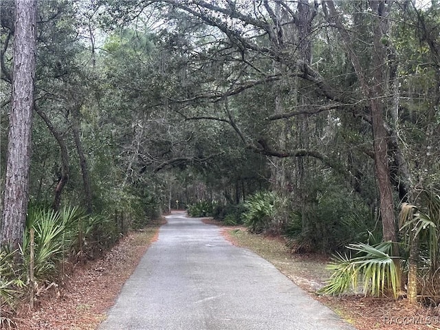 0 Our Rd, Inglis FL, 34449 land for sale