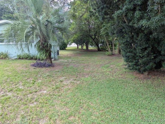 11 N Jefferson St, Beverly Hills, FL 34465 - view of grassy yard