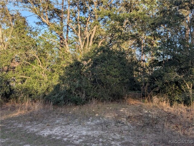 8949 N Lansen Way, Citrus Springs, FL 34433 - photo 3