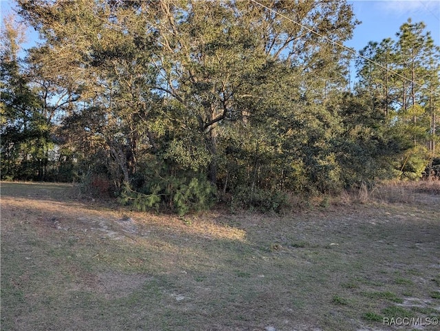 8949 N Lansen Way, Citrus Springs, FL 34433 - photo 8