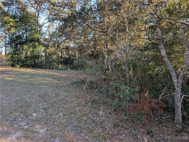 8949 N Lansen Way, Citrus Springs, FL 34433 - photo 7