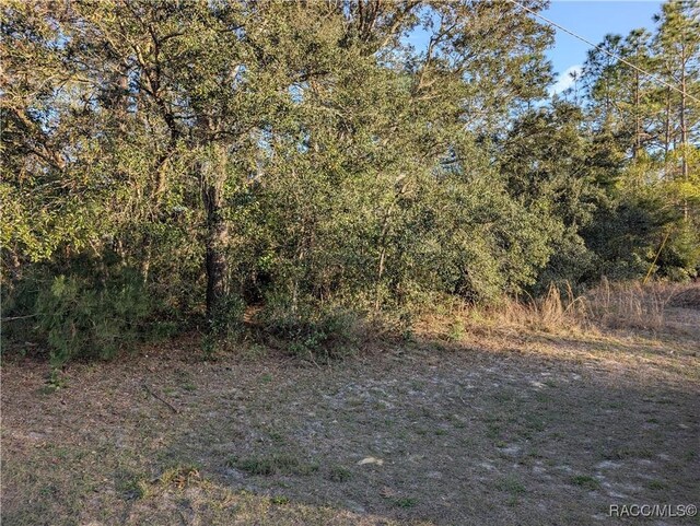 8949 N Lansen Way, Citrus Springs, FL 34433 - photo 11