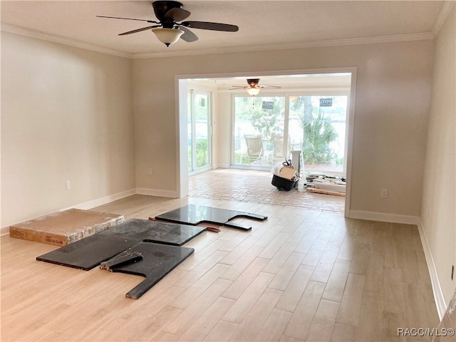 exercise room with light hardwood / wood-style floors, ceiling fan, and crown molding