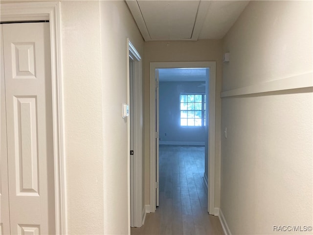 hallway featuring hardwood / wood-style flooring