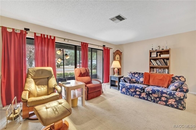 living room with carpet and a textured ceiling