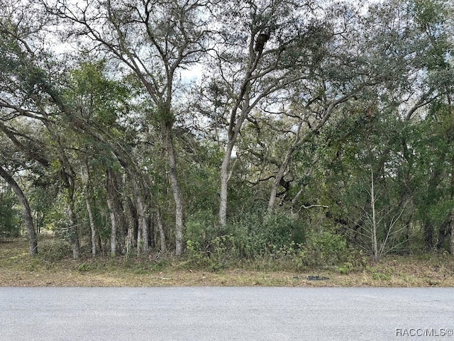 56 N Fresno Ave, Hernando FL, 34442 land for sale