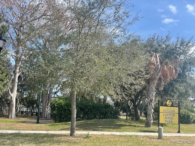 view of property's community featuring a yard