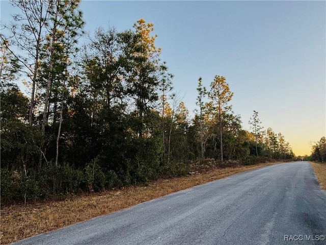 Listing photo 3 for TBD SW Sea Cliff Ave, Dunnellon FL 34431