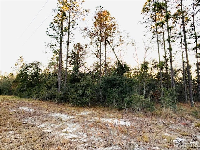 Listing photo 2 for TBD SW Sea Cliff Ave, Dunnellon FL 34431