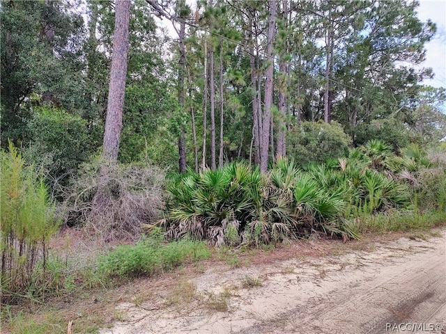 4039 N Mitchum Pt, Crystal River FL, 34428 land for sale