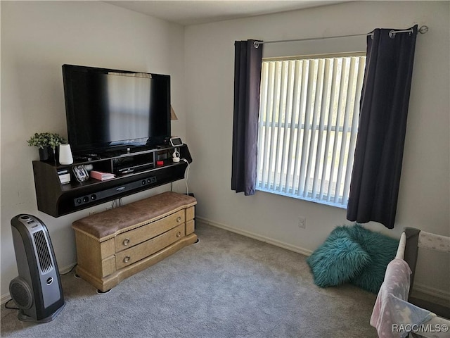 interior space with light colored carpet