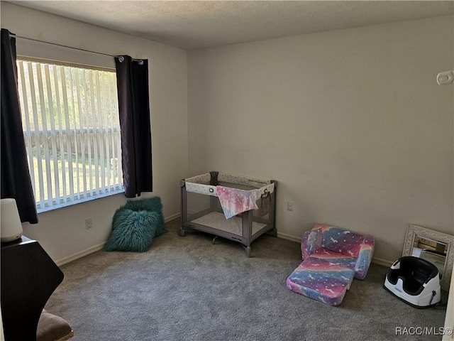 bedroom featuring carpet