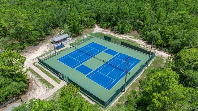 5352 W Corral Pl NW, Beverly Hills, FL 34465 - drone / aerial view of a forest