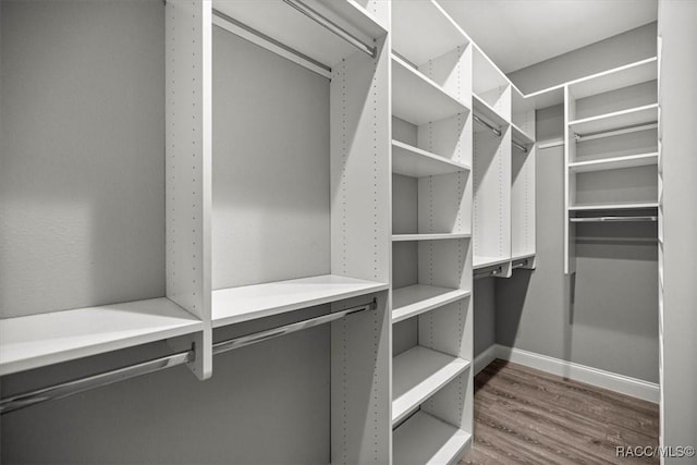 5352 W Corral Pl NW, Beverly Hills, FL 34465 - walk in closet featuring dark wood-style floors