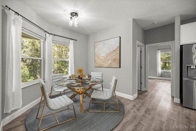 5352 W Corral Pl NW, Beverly Hills, FL 34465 - dining room with plenty of natural light, wood finished floors, and a textured ceiling