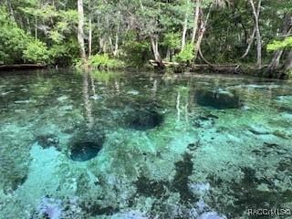 10203 Chassahowitzka Riv, Homosassa, FL 34446