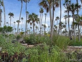 10203 Chassahowitzka Riv, Homosassa, FL 34446