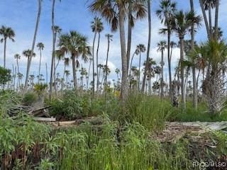 10203 Chassahowitzka Riv, Homosassa, FL 34446