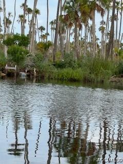 10203 Chassahowitzka Riv, Homosassa, FL 34446