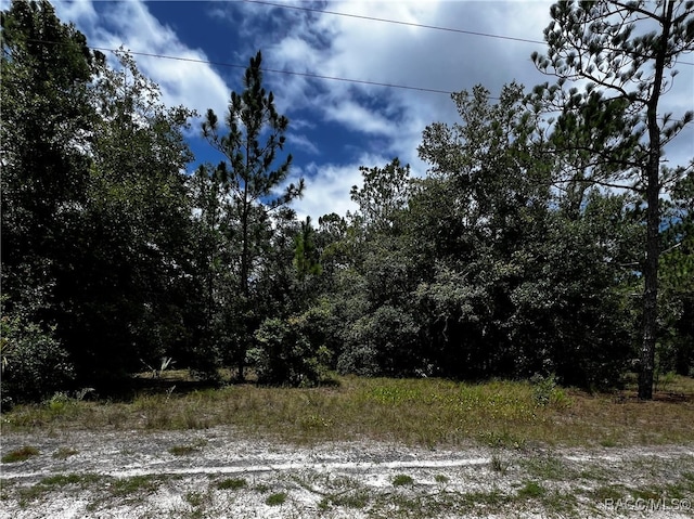 Address Not Disclosed, Crystal River FL, 34428 land for sale