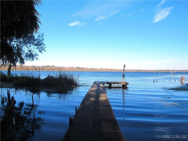 dock area with a water view