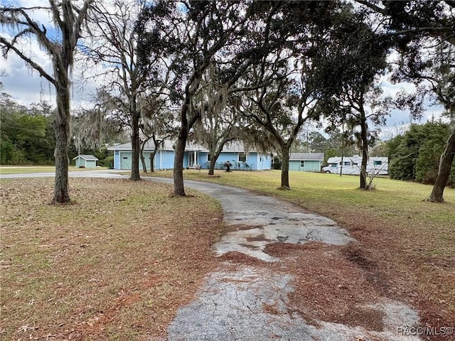 view of yard with driveway