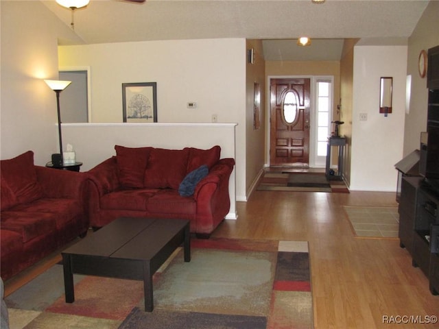 living room featuring wood finished floors