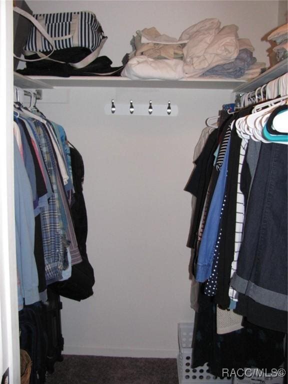 spacious closet with dark colored carpet