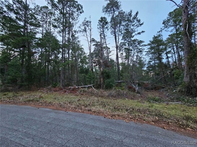 23 Browallia Ct, Homosassa FL, 34446 land for sale