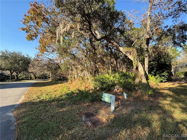 21 Livingstone Daisy Ct, Homosassa FL, 34446 land for sale