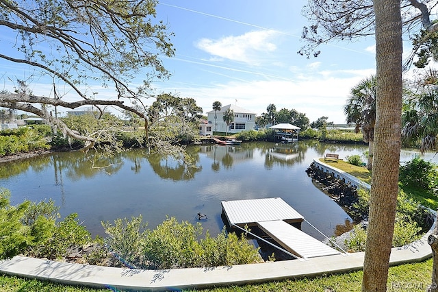 dock area with a water view