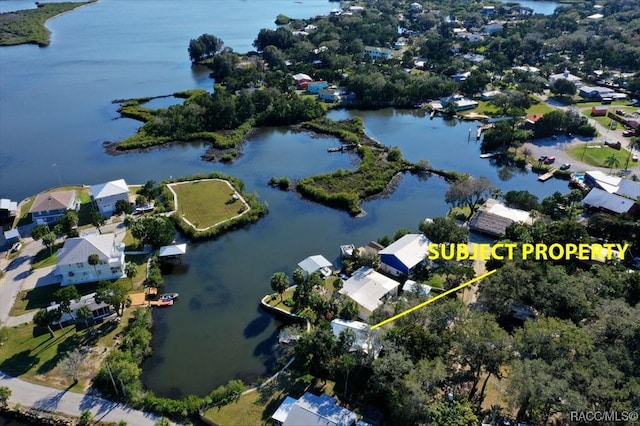 13920 W Evers Ct, Crystal River, FL 34429 - drone / aerial view of a large body of water