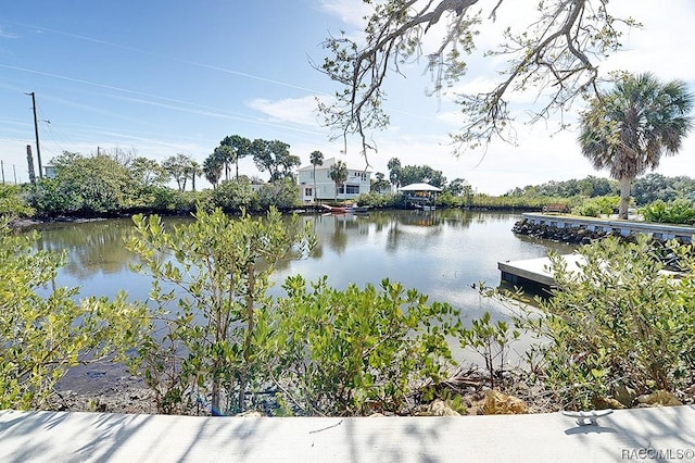 13920 W Evers Ct, Crystal River, FL 34429 - water view