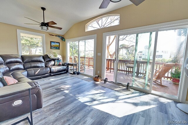 living room featuring hardwood / wood-style flooring, ceiling fan, and vaulted ceiling