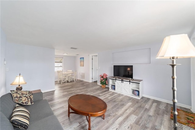 living room featuring wood-type flooring