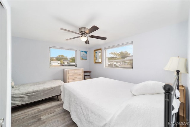 bedroom with ceiling fan, multiple windows, and hardwood / wood-style floors